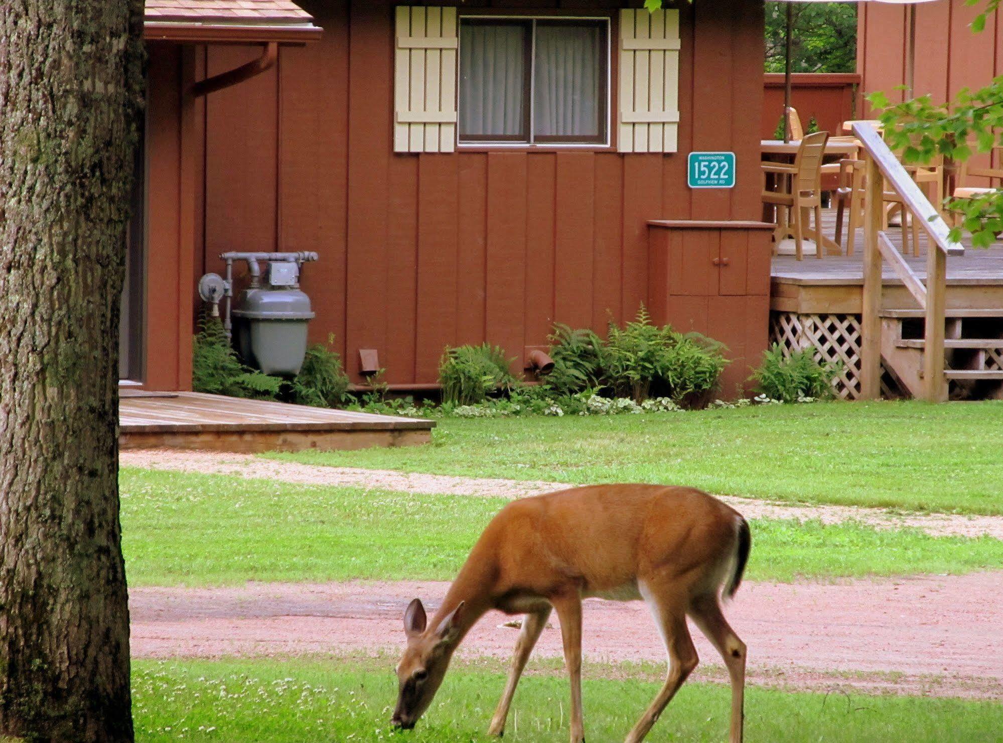 Lake Forest Resort Eagle River Bagian luar foto