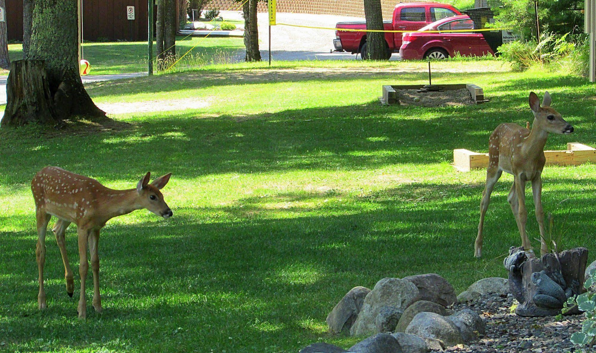 Lake Forest Resort Eagle River Bagian luar foto